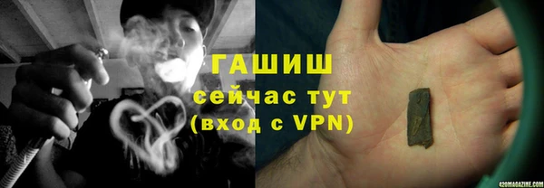 гидра Арсеньев