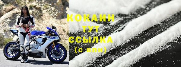 гидра Арсеньев