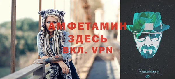 гидра Арсеньев