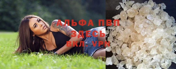 гидра Арсеньев