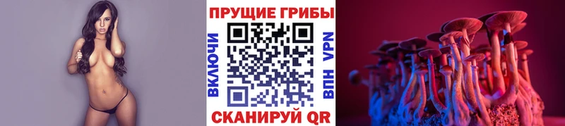 Псилоцибиновые грибы ЛСД  Новопавловск 
